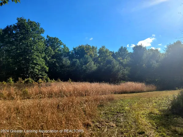 11000 E Garfield Rd, Ashley, MI 48806