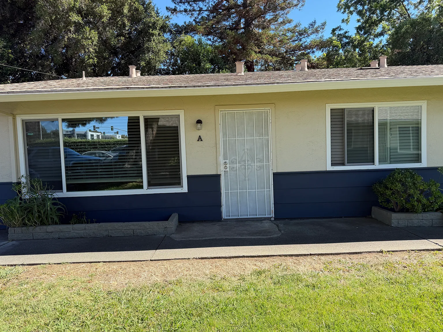 1 bed, $1,650 — Photo 1