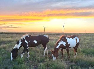 53647 County Road 36.4, Genoa, CO 80818