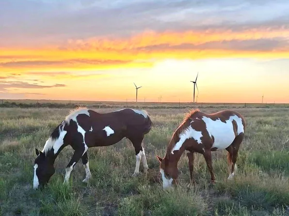 53647 County Road 36.4, Genoa, CO 80818