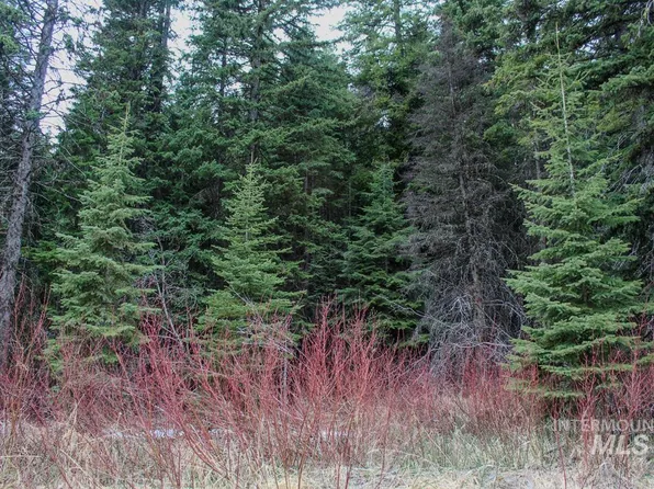 595 W Mountain Rd, Cascade, ID 83611