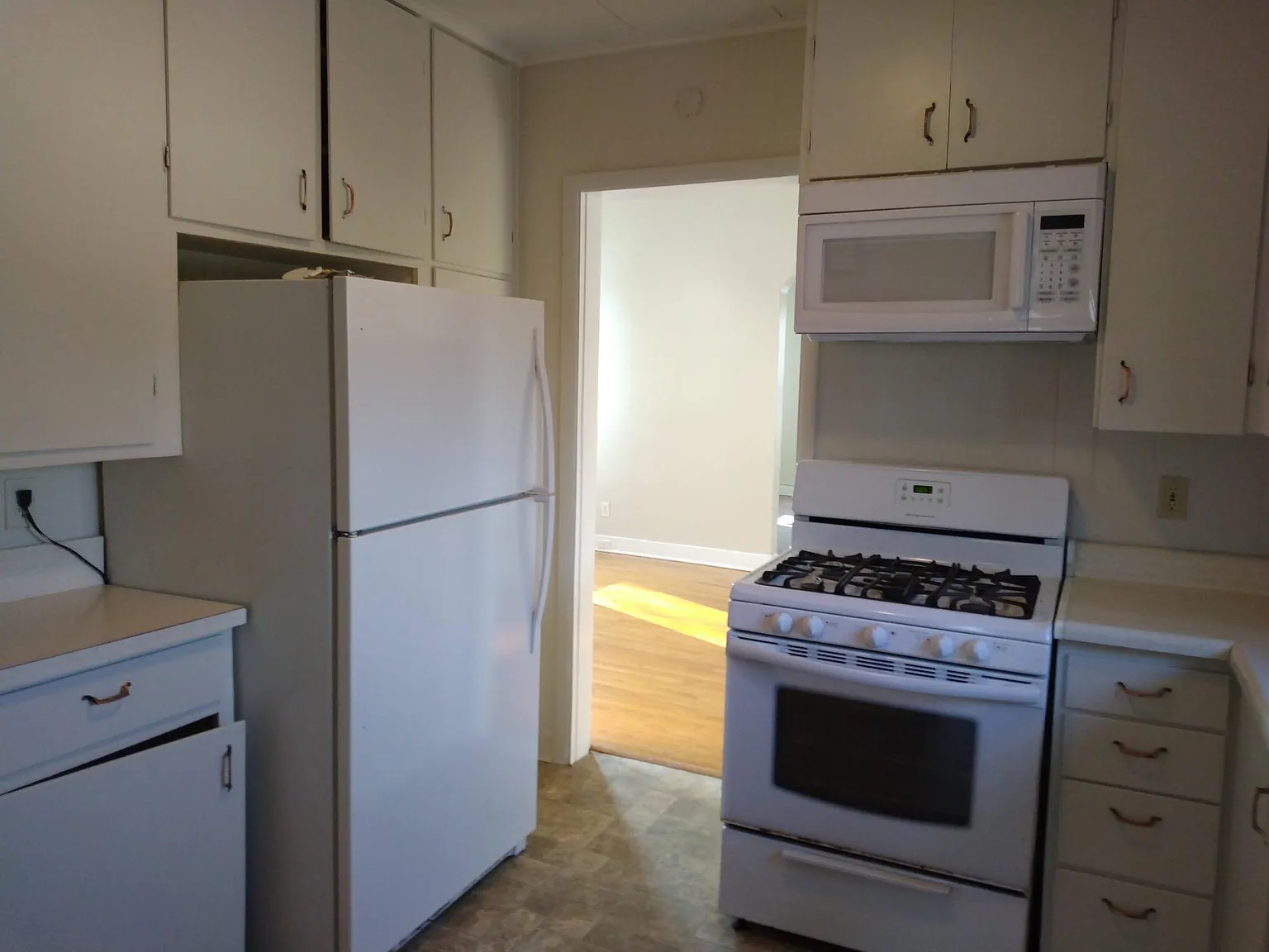 2 bed, 1300 sqft, $1,500 — Photo 1