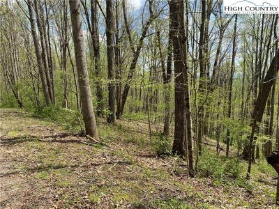 TBD Happyland Road UNIT 38, Piney Creek, NC, 28663
