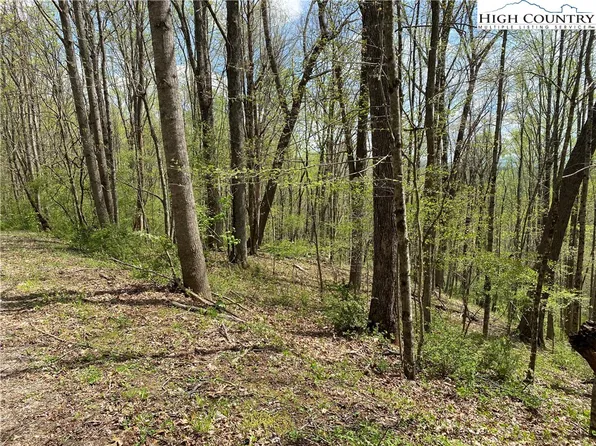 TBD Happyland Road #38, Piney Creek, NC 28663