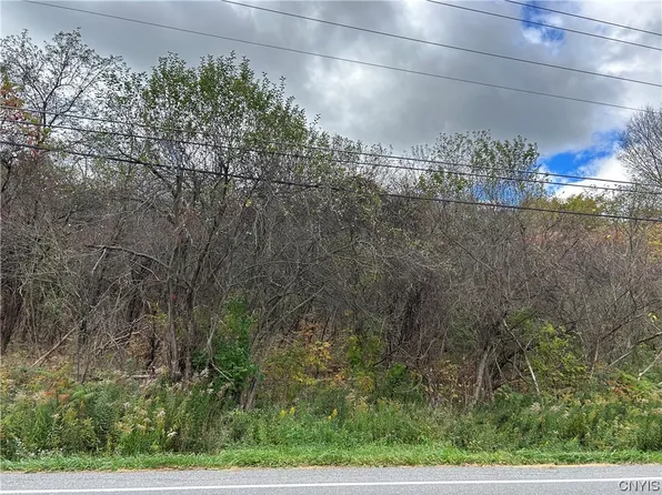 LOT 2 Apulia Rd, La Fayette, NY 13084