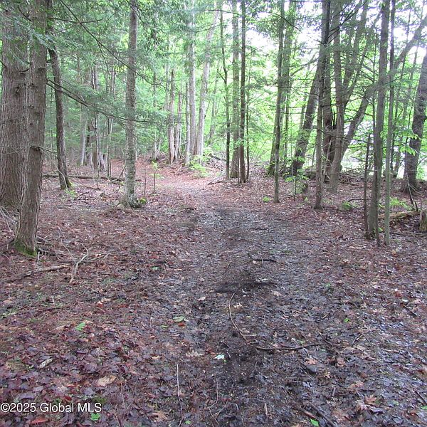 3rd image of L5 Seven Hills Road