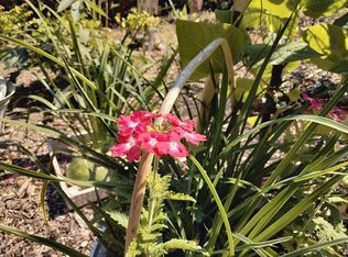 16037 194th Ave SE, Renton, WA 98058