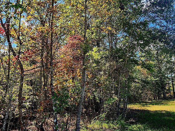 3rd image of 0 Long Branch Rd #179B