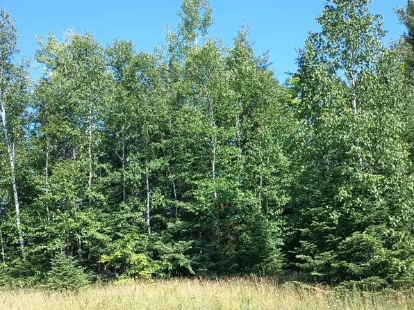 7 Chaney Cove Rd, Bessemer, MI 49911