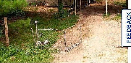 2nd image of 443 County Road 4021
