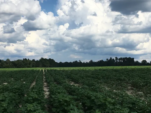 0 Blackville Rd, Gaston, SC 29053