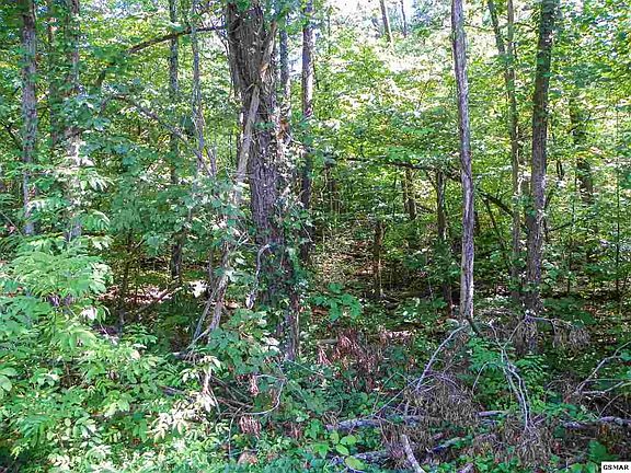 4th image of 2 Valley Woods Dr Lot 2