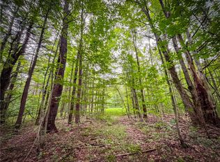 0 Terry Hill Rd #5, Horseheads, NY 14845