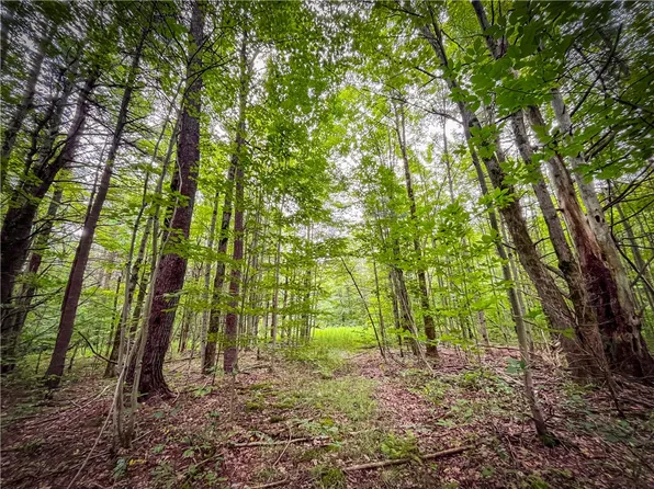 0 Terry Hill Rd #5, Horseheads, NY 14845