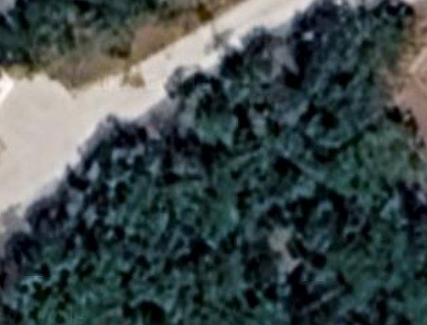1st image of County Road 1519 #1519