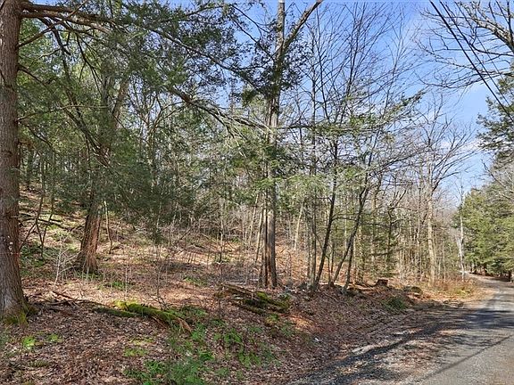 3rd image of 8 Hemlock Rd