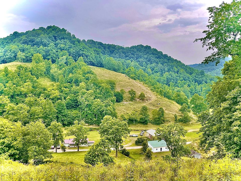 7870 Beech Rd, Chloe, WV 25235 MLS 11186567 Zillow