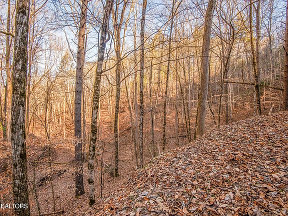 3rd image of 2474 Dove View Rd #6