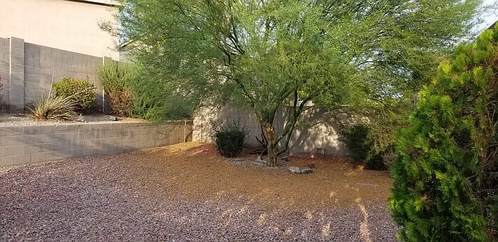 1744 W Frye Rd — Photo 20
