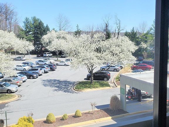 4th image of 2921 N Leisure World Blvd #1-301