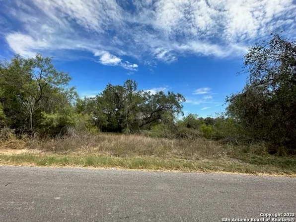 344 DUGOSH RD, Pleasanton, TX 78064