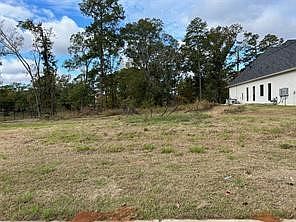 2nd image of 2056 Silver Point Dr
