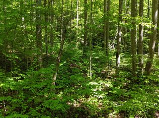 1285 Hemlock Falls Dr, Sylva, NC 28779