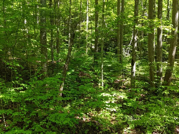 1285 Hemlock Falls Dr, Sylva, NC 28779