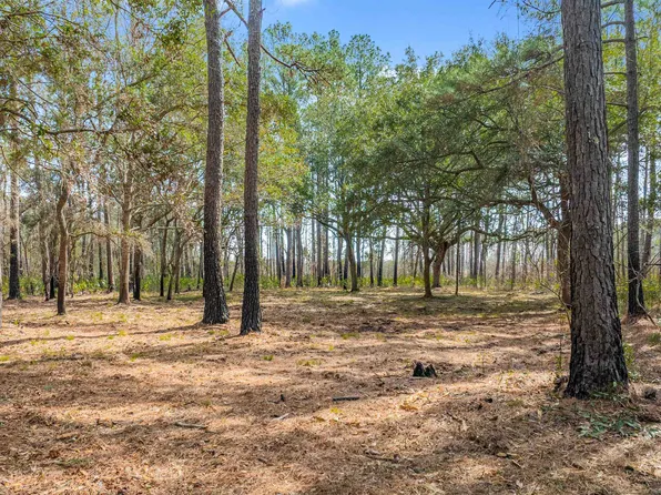 2630 Vanderbilt Blvd. #Prince George Ocean, Pawleys Island, SC 29585