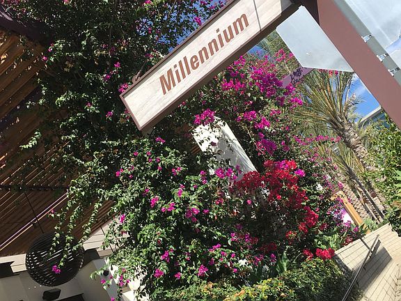 2nd image of 12722 Millennium APT 228