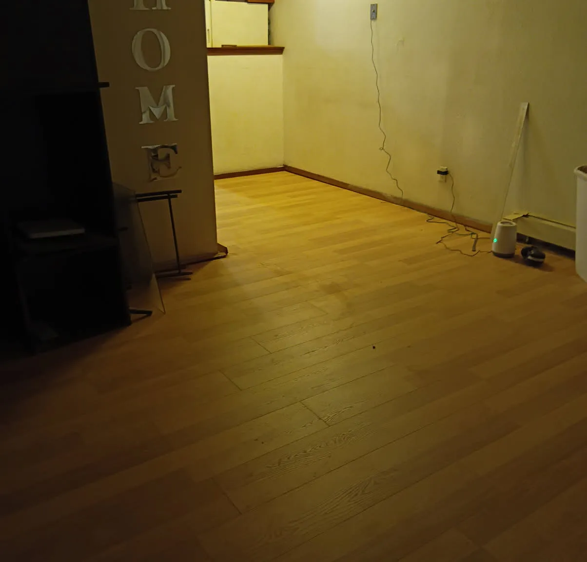 1 bed, 1000 sqft, $1,250 — Photo 1