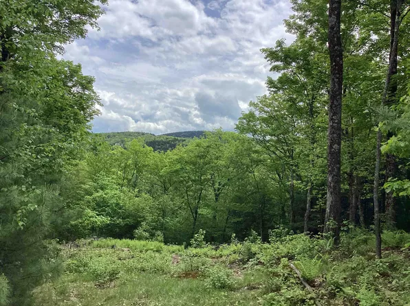 Lot 1 Pegwood Road, Campton, NH 03223