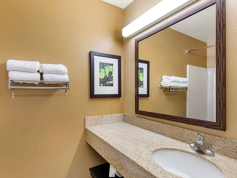 Studio Suite - 1 King Bed