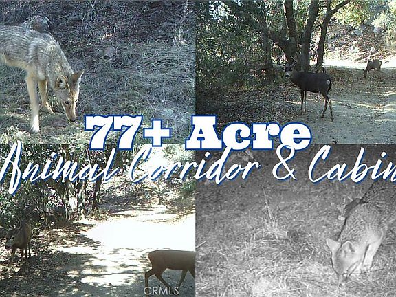 3rd image of 28618 Chihuahua Valley Rd
