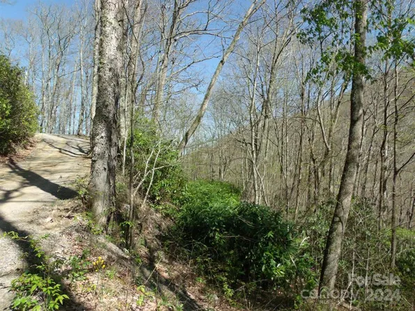 LOT Nineteen Long Branch Rd, Maggie Valley, NC 28751