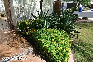 4th image of 2100 E Aster Pl