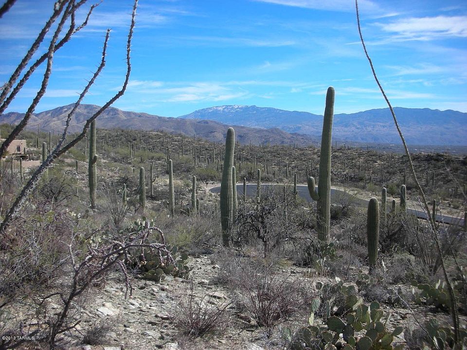1st image of 10731 E Gibbon Canyon Pl