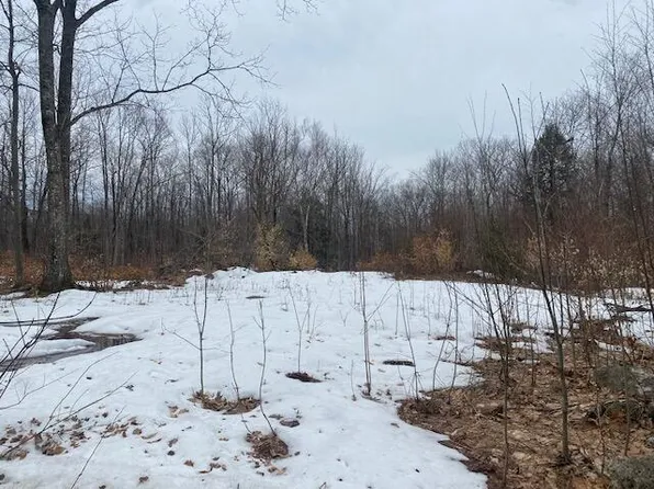 TBD Streaked Mountain Road, Buckfield, ME 04220