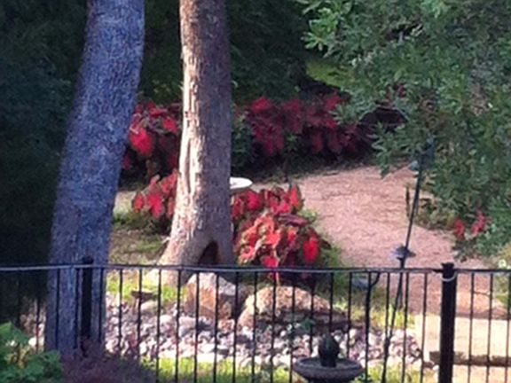4th image of 4133 Glenbrook Dr