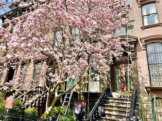 Rented by Prospect Heights Realty, Corp. | media 58