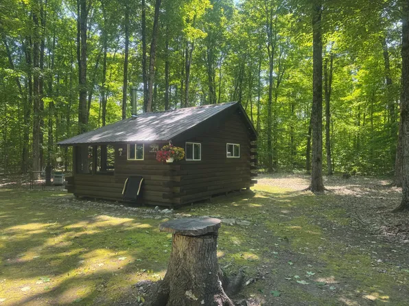 1336 W Edge Rd, Germfask, MI 49836