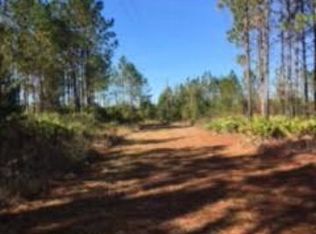 1353 Mount Pleasant Rd, Hotense, GA 31543