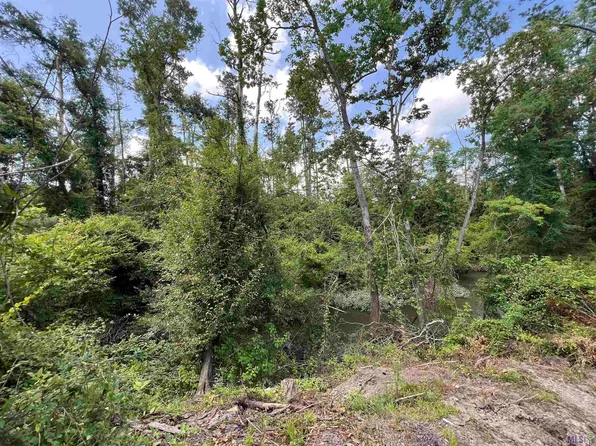 Not Available McCarrol Rd, Springfield, LA 70462