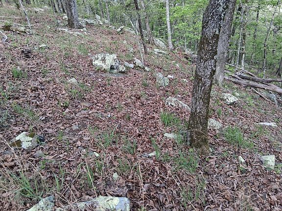 3rd image of 0 SE 180th Rd Tract 1