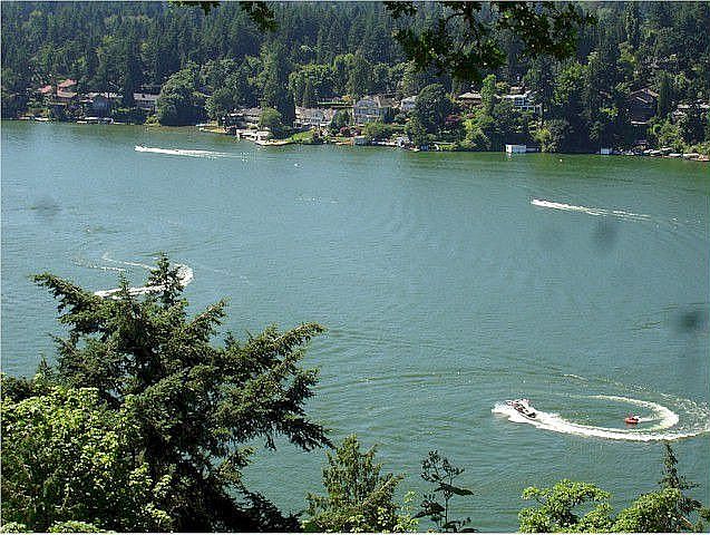Views of the lake.