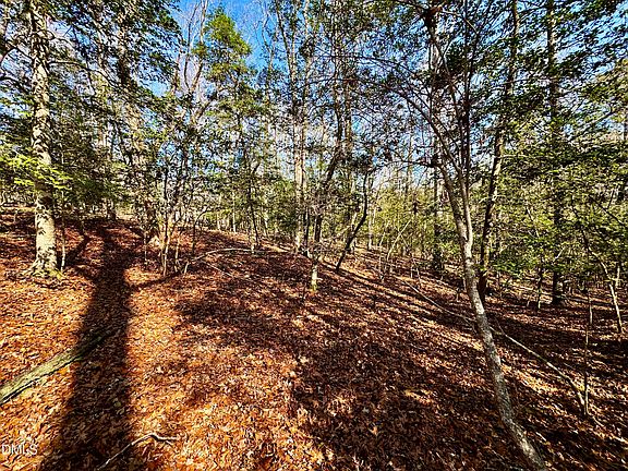 4th image of 2046 Treetop Circle