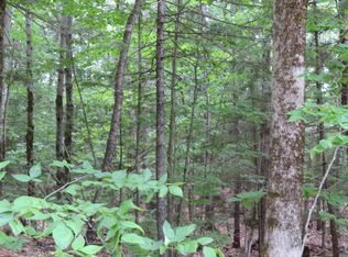 67 Sandwich Slopes Rd, Center Sandwich, NH 03227