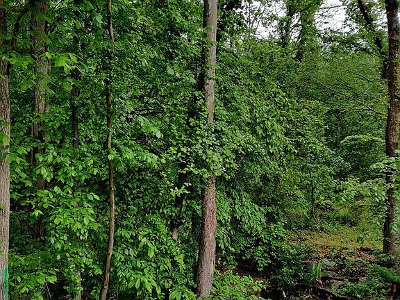 2nd image of 1410 Farmington Rd E