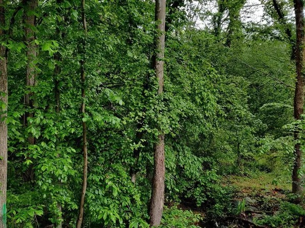 1410 Farmington Rd E, Accokeek, MD 20607