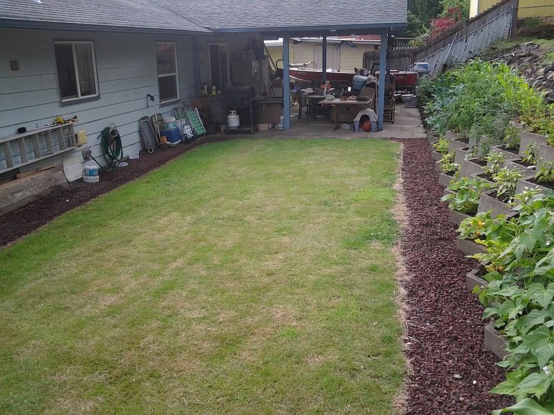 Back yard and raised garden.